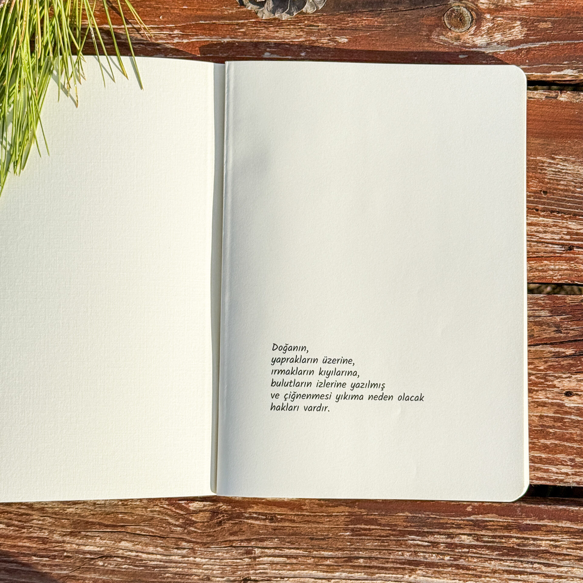 Doğa'nın Defteri 2 Doğa'nın Defteri - Görsel 2