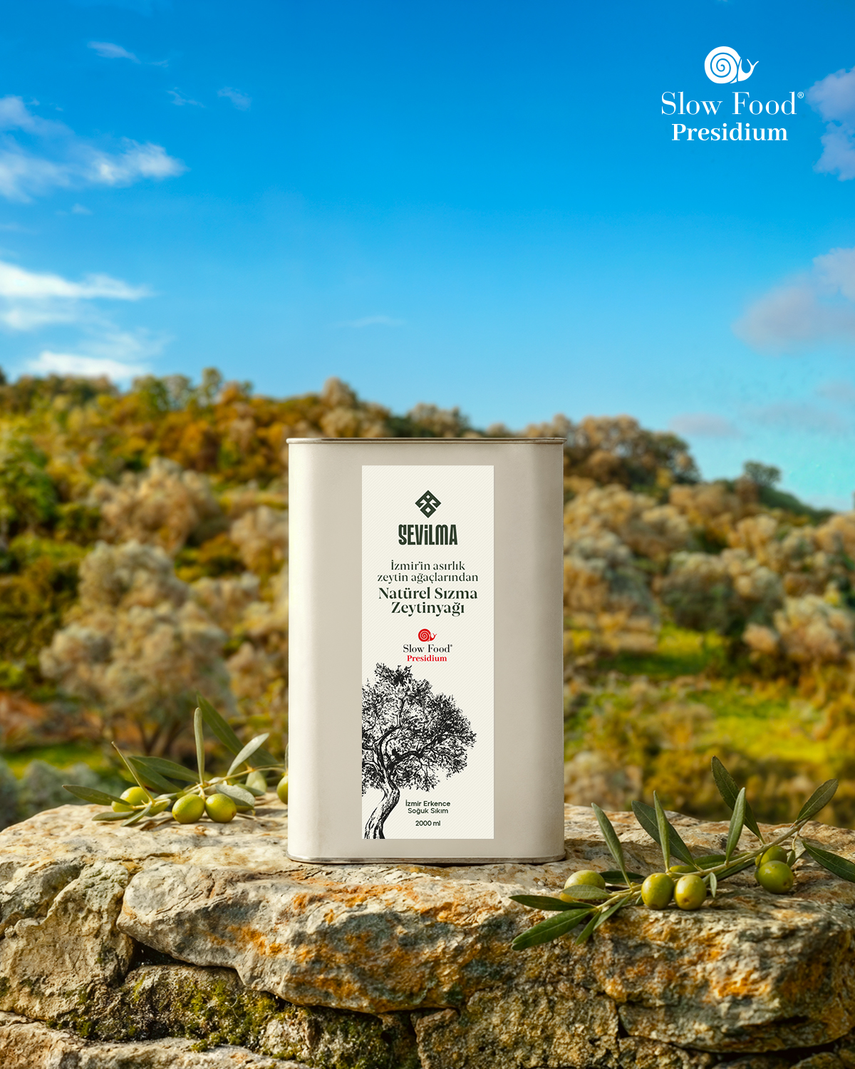 Sevilma Ege Kadim Üretim Havzaları Presidium Natürel Sızma Zeytinyağı 2 Sevilma Ege Kadim Üretim Havzaları Presidium Natürel Sızma Zeytinyağı - Görsel 2