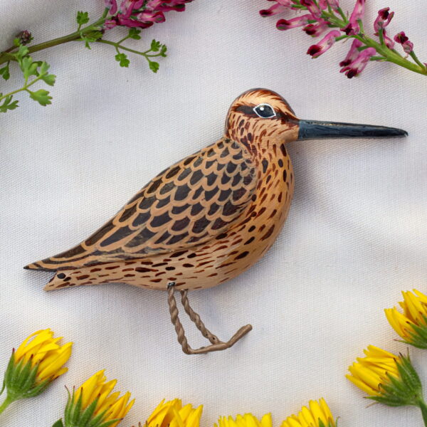 Uzun Gagalı Suçulluğu Broşu