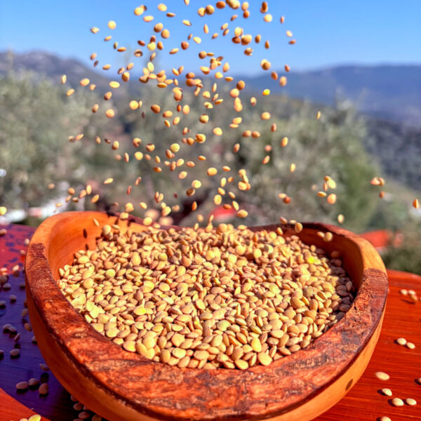 Yavaş Dükkân 9 Üç Elma Yeşil Mercimek