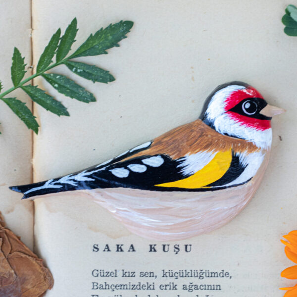 Saka Kuşu TOKA