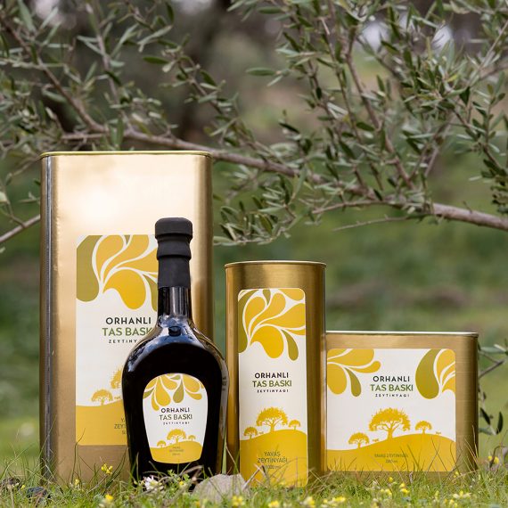 Olive and Olive Oils